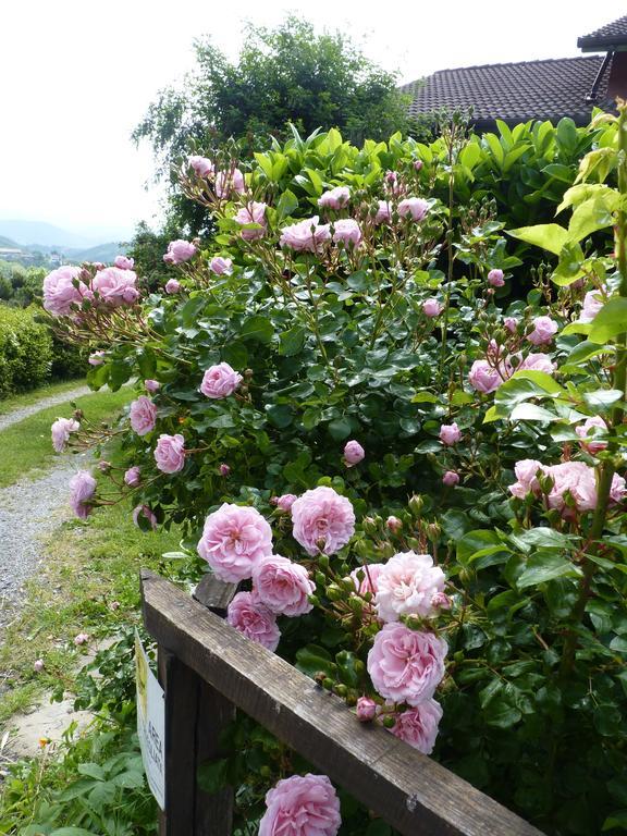 B&B The Roses Garden Millesimo Esterno foto