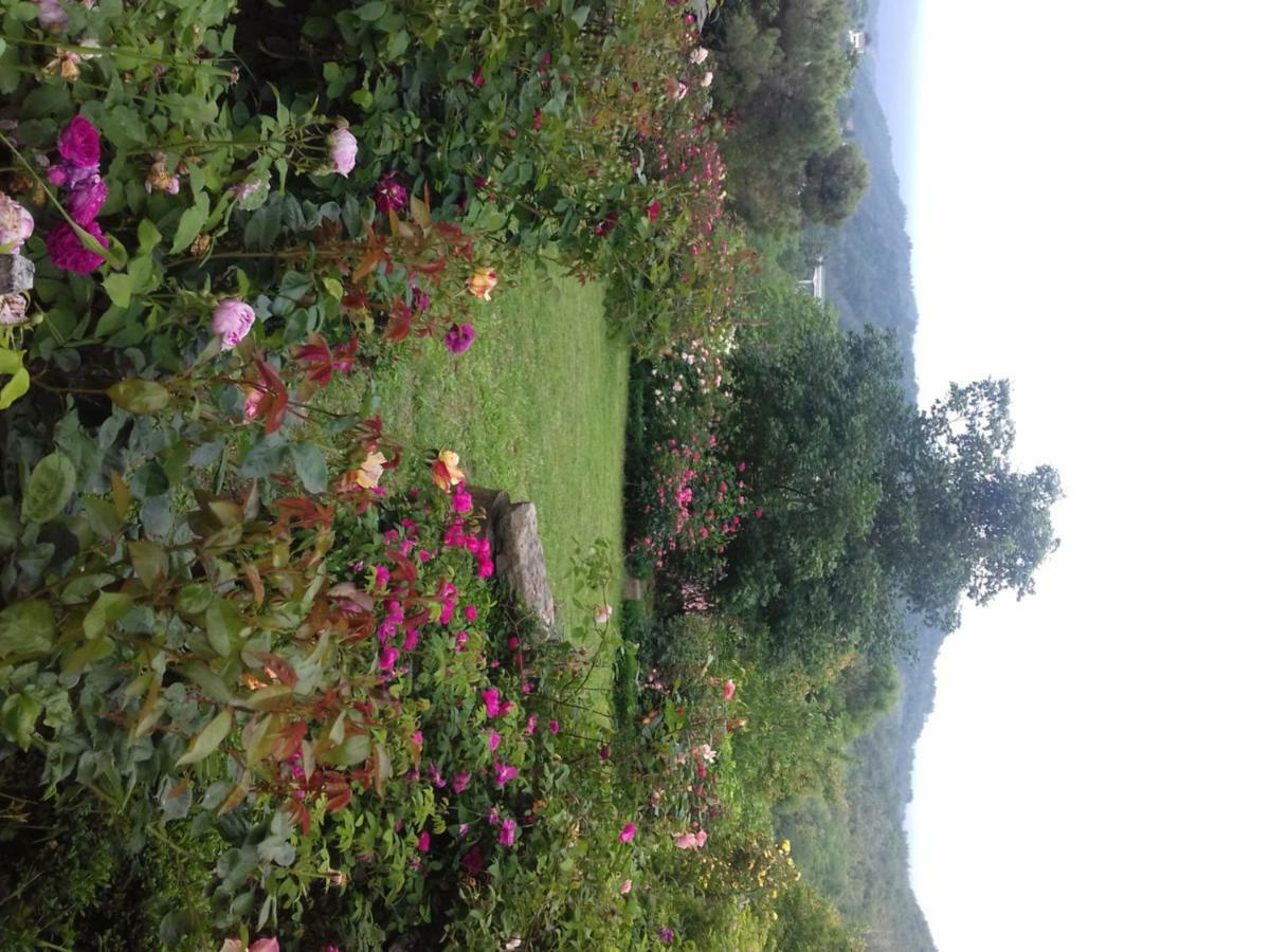B&B The Roses Garden Millesimo Esterno foto